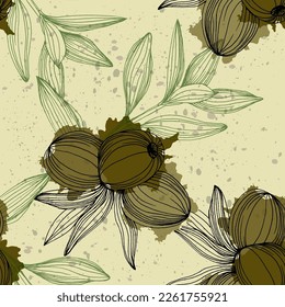 Patrón sin mar con rama de olivo. Ramas de oliva esbozan. Flor silvestre de dibujo manual vectorial para fondo, textura, patrón envolvente.
