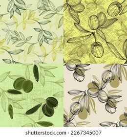 Seamless pattern with olive branch. Olive branches sketch. Vector hand drawing wildflower for background, texture, wrapper pattern.