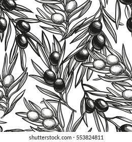 Seamless pattern with olive branch. Hand drawn vector illustration.
