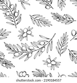 Seamless pattern with olive branches. Hand drawn illustration.