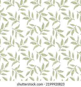Seamless pattern of olive green leaves, foliage natural branches, herbs on white background. Floral wallpaper. Vector illustration.