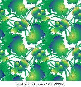 Seamless pattern of olive tree twigs, grapes on a white background. Summer, fruity, natural background for covers, banners, textures.