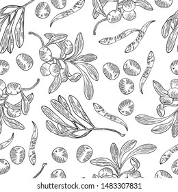 seamless pattern of olives and leaves, vector