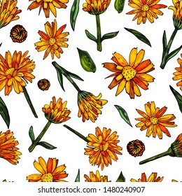 Seamless pattern on a white background from blooming orange calendula. Delicate floral print.