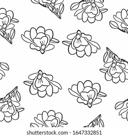 Seamless pattern on a white background. Coloring book for children and adults. Printing on paper, fabric.