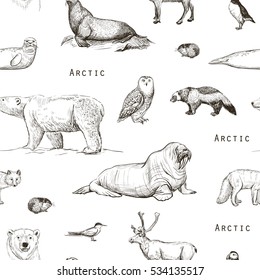 
A seamless pattern on a white background animals north. Isolated sketches on a white background