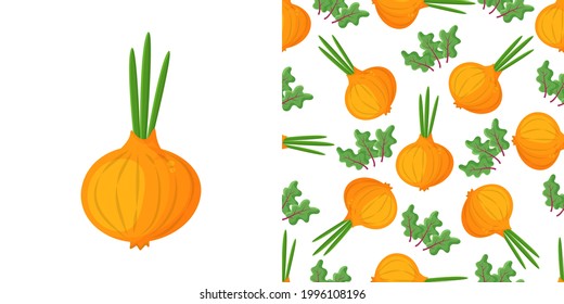 Seamless pattern onion with green onion, cutaway onion top view isolated on background, flat lay for culinary blog