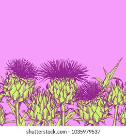 Seamless pattern with onopordum acanthium. Scottish thistle.
