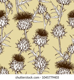 Seamless pattern with onopordum acanthium. Scottish thistle.