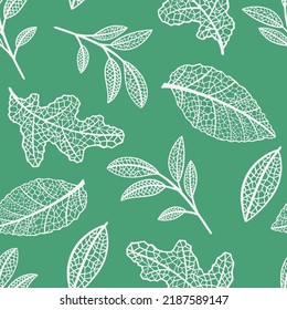 Seamless pattern with openwork leaves of forest trees vector hand drawn print for fabric, textile, wallpaper, paper, packaging.
