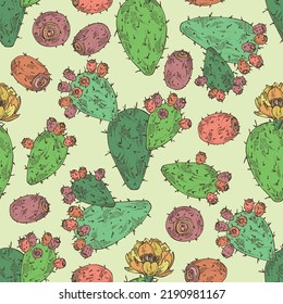 Seamless pattern with opuntia ficus-indica: indian prickly pear plant, fruits and indian prickly pear flowers. Opuntia ficus-indica. Cosmetic, perfumery and medical plant. Vector hand