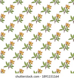 Seamless pattern and orange azalea  vector illustration