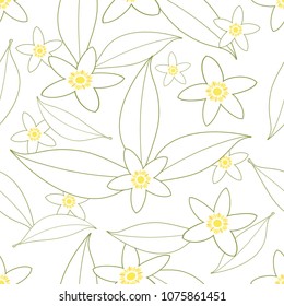 Seamless pattern of orange blossom flowers outlines on white background