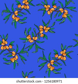 Seamless pattern with orange buckthorn branches on blue background. Hand drawn vector illustration.