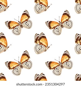 Seamless pattern with orange butterfly -diaethria clymena. Tropical insect. Stock vector illustration on a white background.