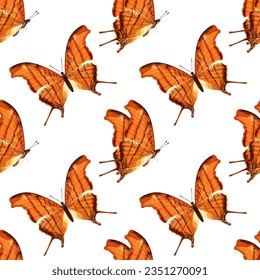 Nahtloses Muster mit orangefarbenem Schmetterling. Tropisches Insekt. Stock-Vektorgrafik auf weißem Hintergrund.