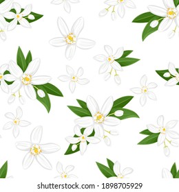 Seamless Pattern With Orange Flowers. Blooming Neroli. Floral Background. Vector Illustration Of Fragrant Plant, Green Leaves And Buds In Cartoon Flat Style.