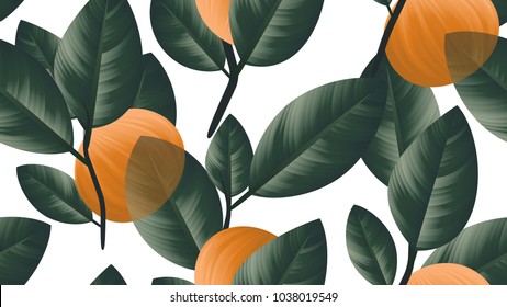 Seamless pattern, orange fruit with green leaves on branch on white background