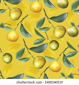 Seamless pattern with orange fruit -vector