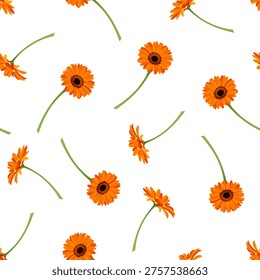 Seamless pattern with orange gerbera flowers on a white background. Vector floral print. Hand-drawn illustration, not AI