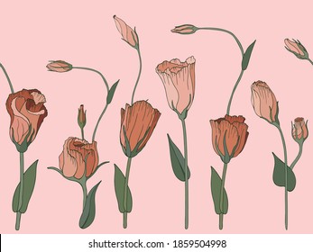 Seamless pattern of orange lisianthus flowers on a peach background. Floristic vector illustration.