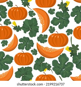Seamless pattern with orange pumpkins, leaves and flowers. Plant autumn pattern on a white background. Contrasting pattern in flat style. Square format.