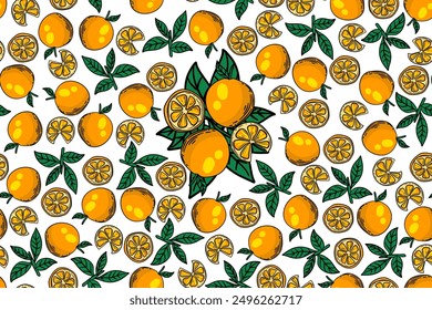 seamless pattern oranges vector drawing
