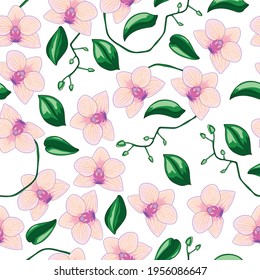 Patrón sin foco con orquídea. Ilustración vectorial de estilo de dibujo.