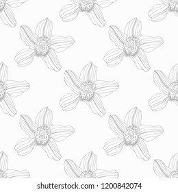 seamless pattern with orchid flower