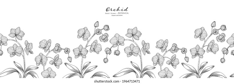 Seamless pattern Orchid flower and leaf hand drawn botanical illustration with line art.