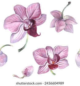 Seamless pattern. Orchid flower. Vector illustration in watercolor style. Design for textile, wallpapers, Element for design, Greeting card. 