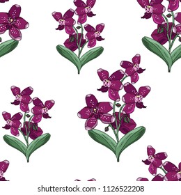 Seamless pattern with orchids burgundy flowers and green leaves on a white background. Infinite texture for season design. Vector illustration.Printing for fabrics, cover design, wallpaper
