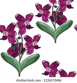 Seamless pattern with orchids burgundy flowers and green leaves on a white background. Infinite texture for season design. Vector illustration.Printing for fabrics, cover design, wallpaper
