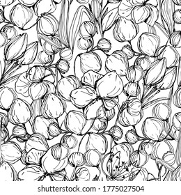 Patrón sin foco con orquídeas, plantas florales. Libro de Colores para niños y adultos con hermosas orquídeas delicadas en diferentes ángulos. gráficos manuales. aislar. Para textiles, papel pintado, diseño.