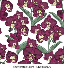 Seamless pattern with orchids  flowers and green leaves on a white background. Infinite texture for season design. Vector illustration.Printing for fabrics, cover design, wallpaper
