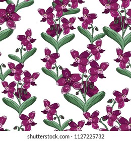 Seamless pattern with orchids flowers and green leaves on a white background. Infinite texture for season design. Vector illustration.Printing for fabrics, cover design, wallpaper
