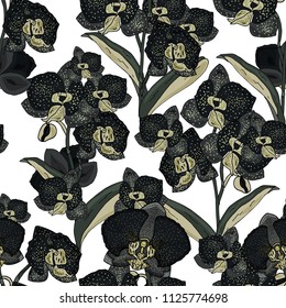 Seamless pattern with orchids  flowers and leaves on a white background. Infinite texture for season design. Vector illustration.Printing for fabrics, cover design, wallpaper
