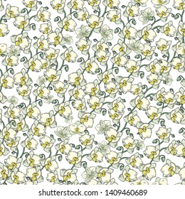 Seamless pattern with orchids. Handmade. Wallpaper, fabric or design of gift paper. Vector illustration
