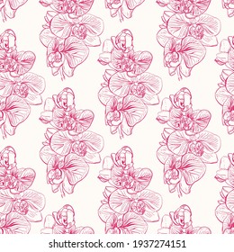 Nahtloses Muster mit Orchideen. Phalaenopsis.  Handgezeichnete Illustration.