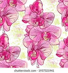 Seamless pattern with orchids. Phalaenopsis.  Hand-drawn illustration.