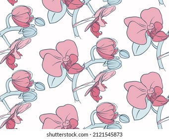Patrón sin foco con orquídeas. Falenopsis.  Ilustración dibujada a mano.