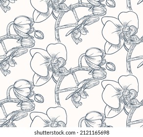 Seamless pattern with orchids.  Phalaenopsis. Monochrome  Hand-drawn illustration.