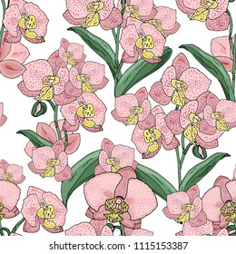 Seamless pattern with orchids pink flowers and green leaves on a white background. Infinite texture for season design. Vector illustration 
