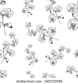 Seamless pattern of orchids. Vector illustration.