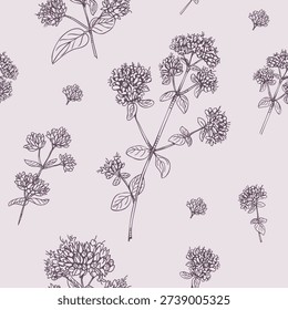 Seamless pattern of Oregano plant, aromatic spice and medicinal plant. Hand drawn line drawing. Vector illustration