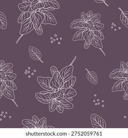 Seamless pattern Oregano plant