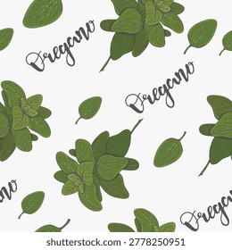 Seamless pattern of Oregano plant, aromatic spice and medicinal plant. Hand drawn line drawing. Vector illustration