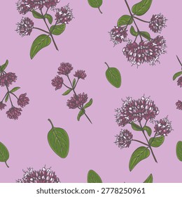 Seamless pattern of Oregano plant, aromatic spice and medicinal plant. Hand drawn line drawing. Vector illustration