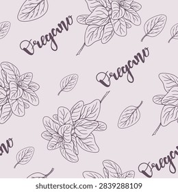 Seamless pattern of Oregano plant, aromatic spice and medicinal plant. Hand drawn line drawing. Vector illustration
