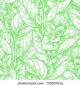 Seamless pattern with oregano. Summer or spring background. Hand drawn vector illustration.